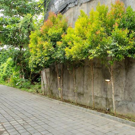 A7 Guesthouse Canggu Dış mekan fotoğraf