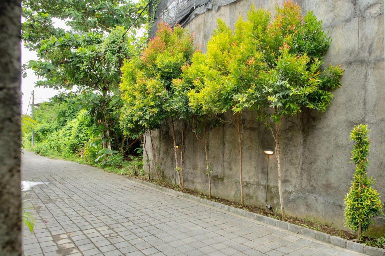 A7 Guesthouse Canggu Dış mekan fotoğraf